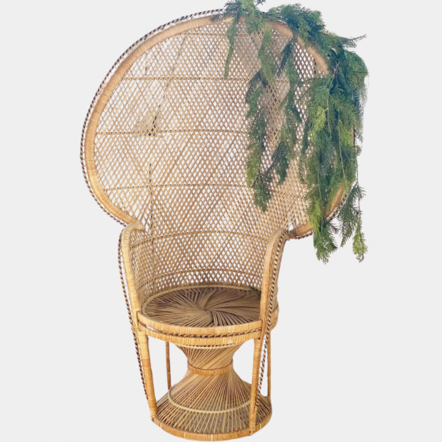 peacock chair