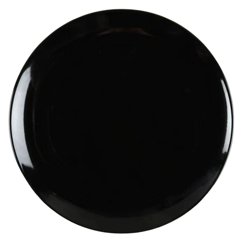 black stoneware dinner plate