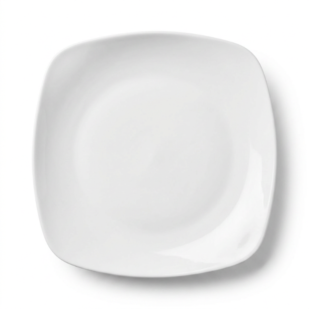 square white dinner plate